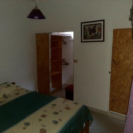 Backpacker Kitara House Hotel Tarapoto Ngoại thất bức ảnh