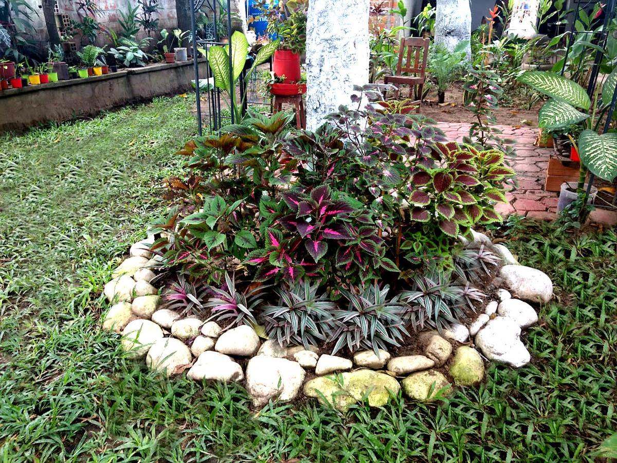 Backpacker Kitara House Hotel Tarapoto Ngoại thất bức ảnh