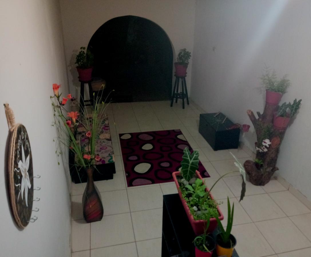 Backpacker Kitara House Hotel Tarapoto Ngoại thất bức ảnh