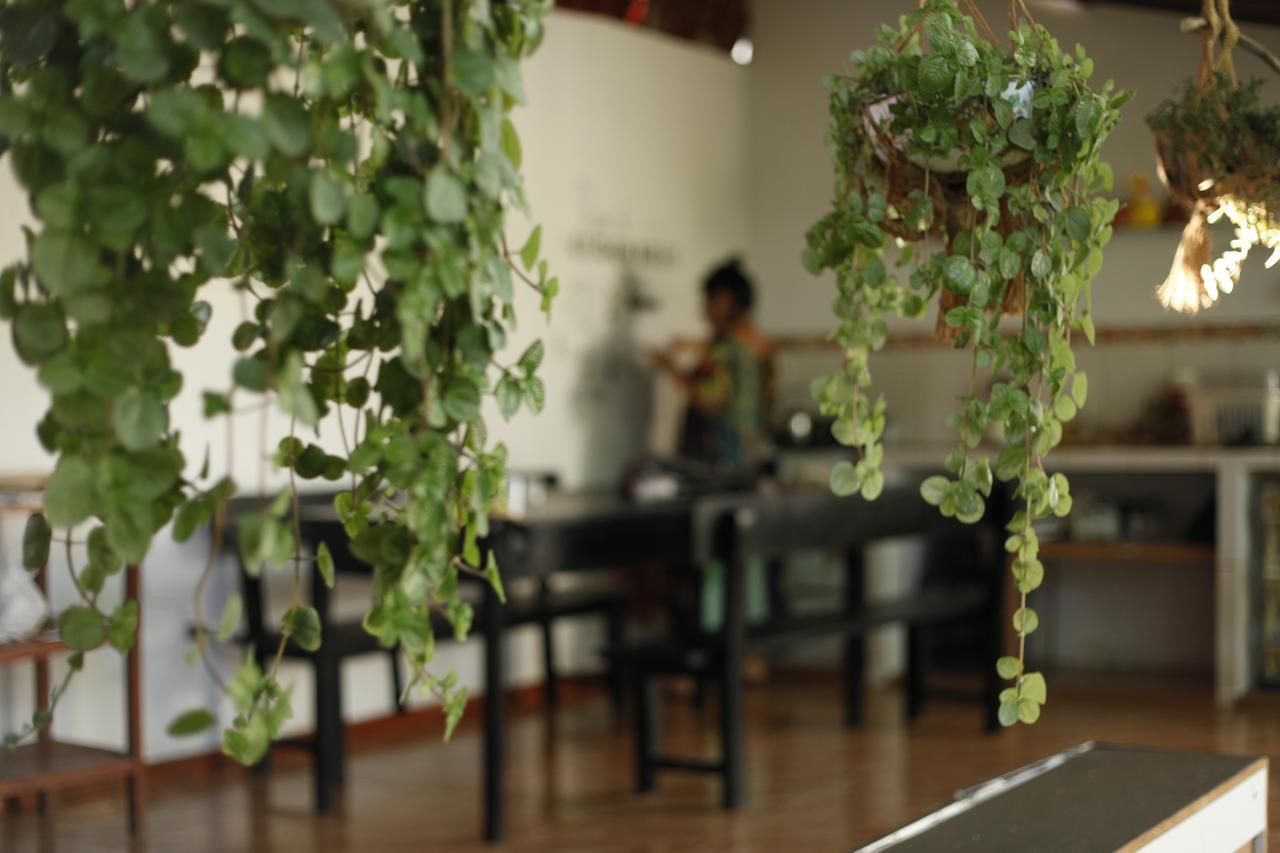 Backpacker Kitara House Hotel Tarapoto Ngoại thất bức ảnh