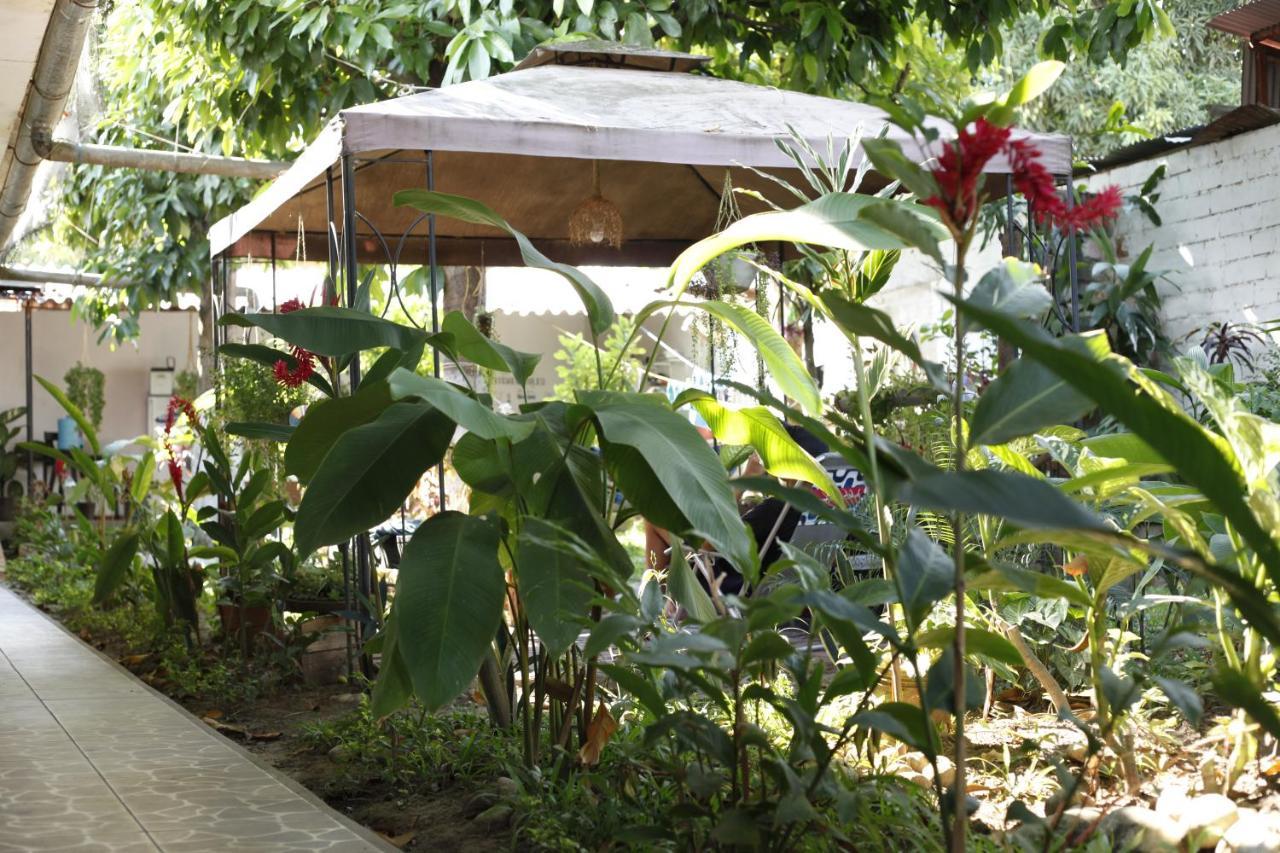 Backpacker Kitara House Hotel Tarapoto Ngoại thất bức ảnh