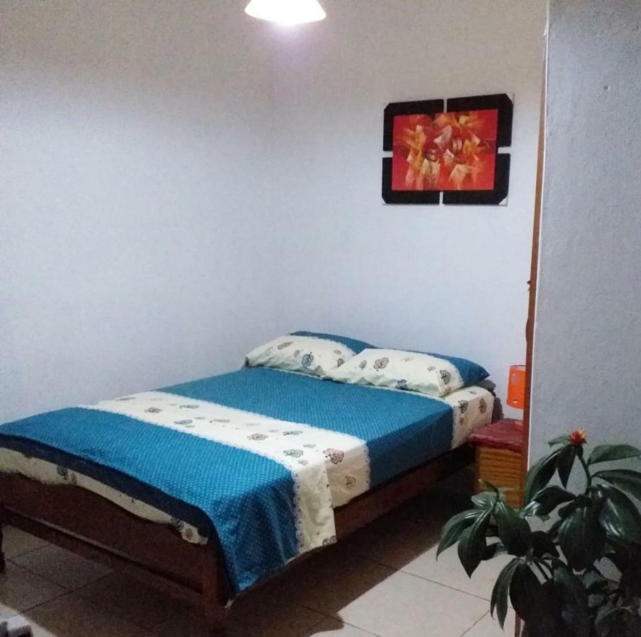 Backpacker Kitara House Hotel Tarapoto Ngoại thất bức ảnh